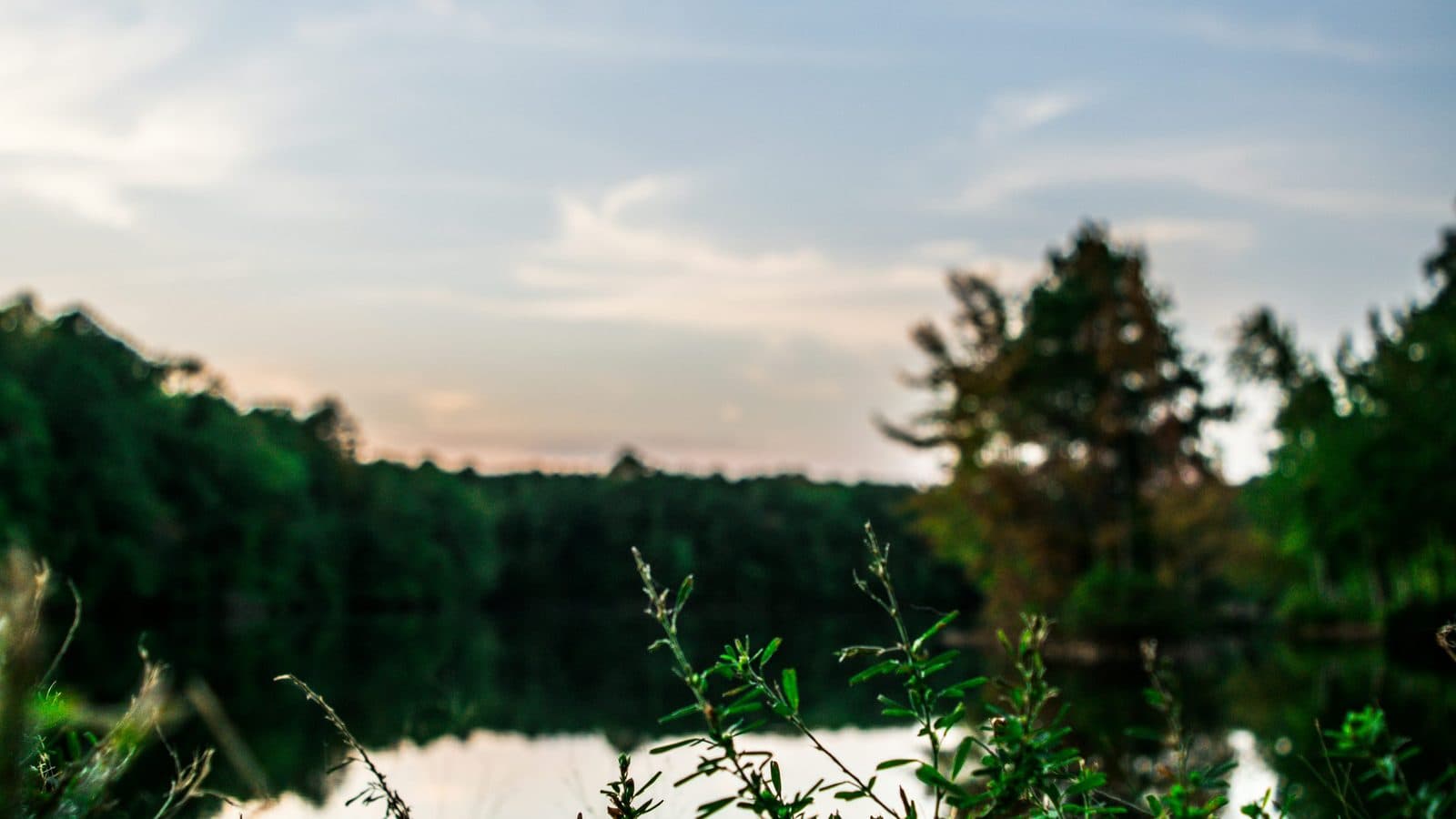 Alabama landscape