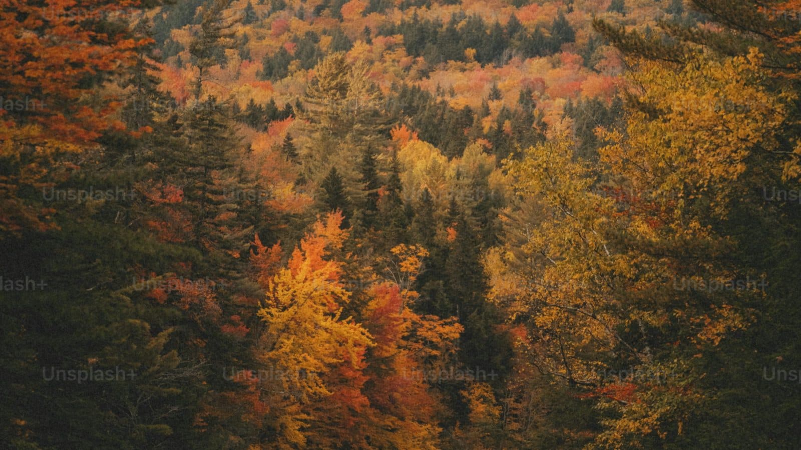 Connecticut landscape