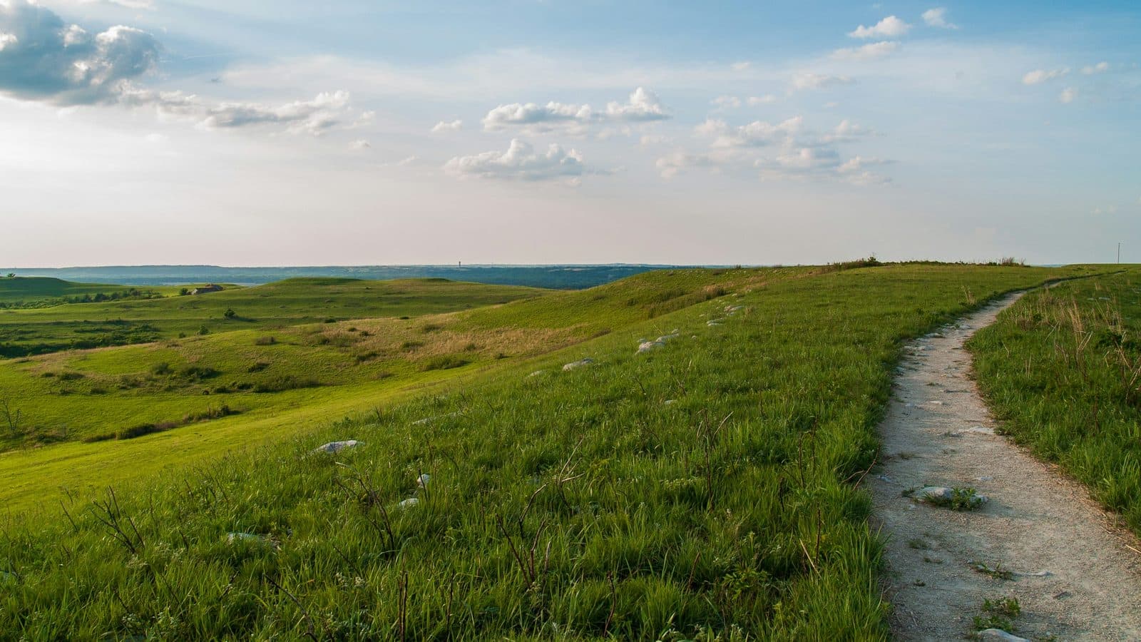 Kansas landscape