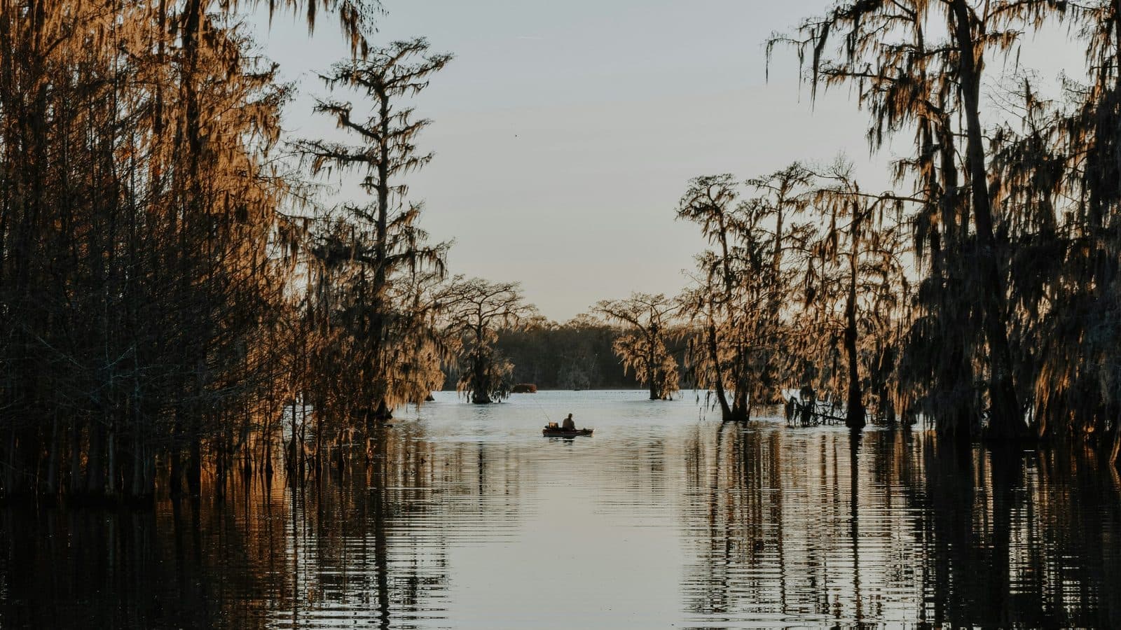Louisiana landscape