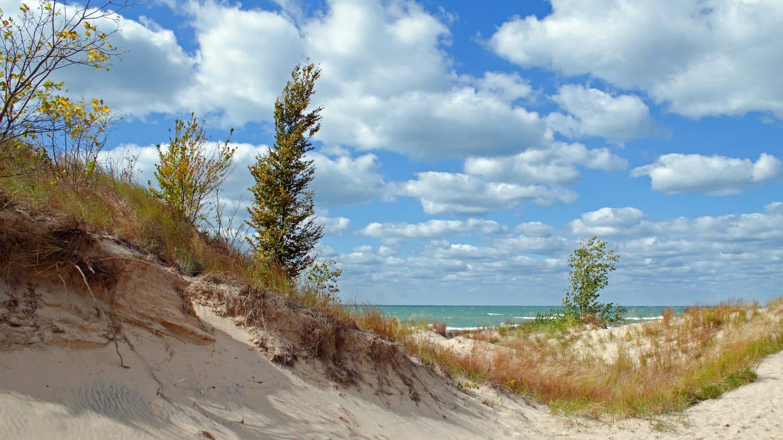Michigan landscape