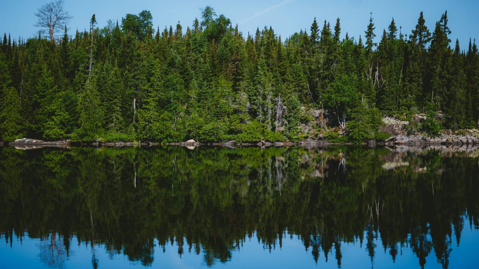 Minnesota landscape