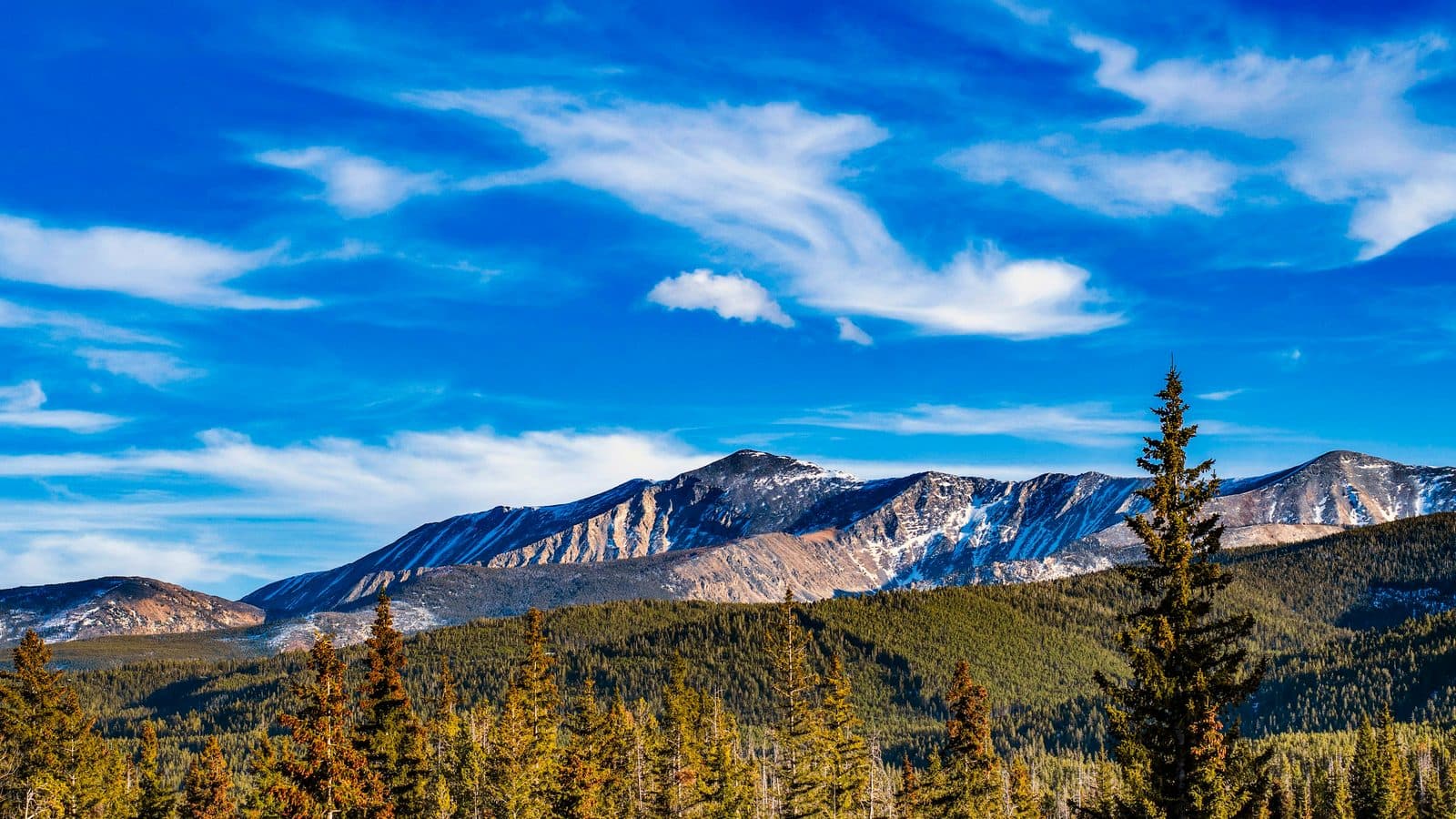 Montana landscape