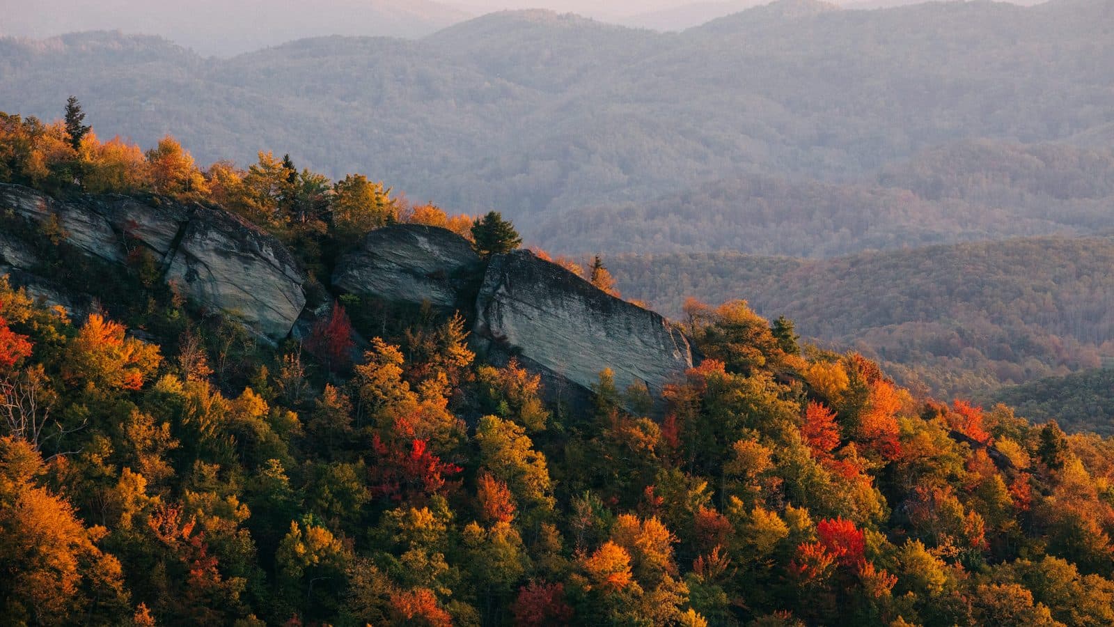 North Carolina landscape