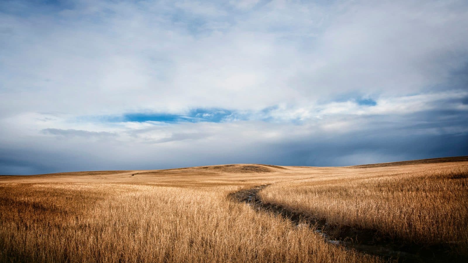 North Dakota landscape