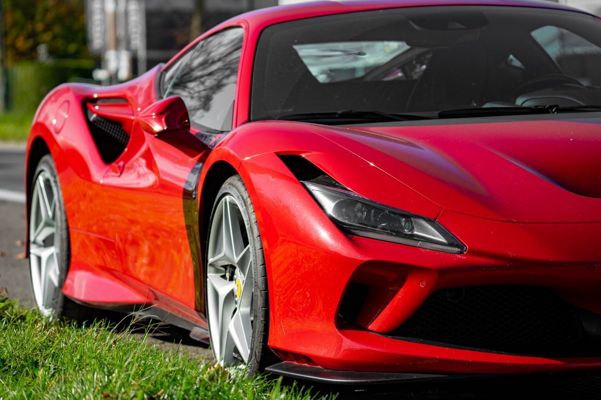 Exotic & Luxury